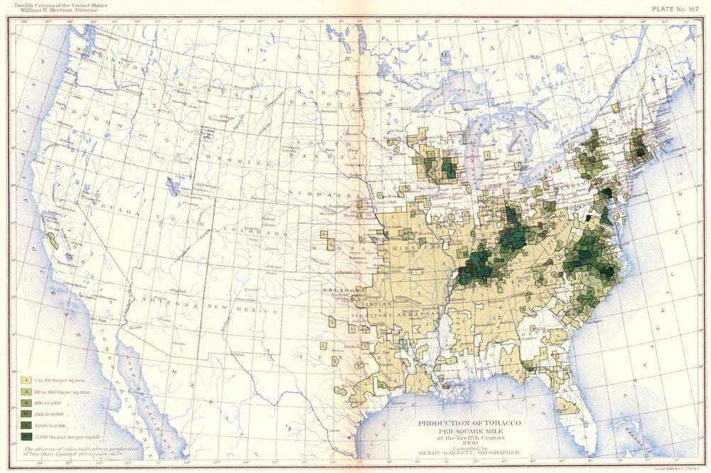 USA. Production of Tobacco / sq mile at 12th Census  1900 old antique map