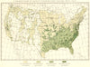 USA. Production of Sweet potatoes per square mile.  1900 old antique map chart