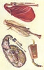 MUSICAL INSTRUMENTS. Cornemuse, Calabrian Bagpipe, Musette 1945 old print
