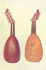 MUSICAL INSTRUMENTS. Lute 1945 old vintage print picture