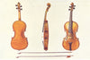 MUSICAL INSTRUMENTS. Violin-Hellier Stradivarius 2 old Bows noted Fluting 1945
