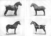 BREEDS OF HORSES. Shire Stallion; Suffolk; Clydesdale; Hackney 1910 old print