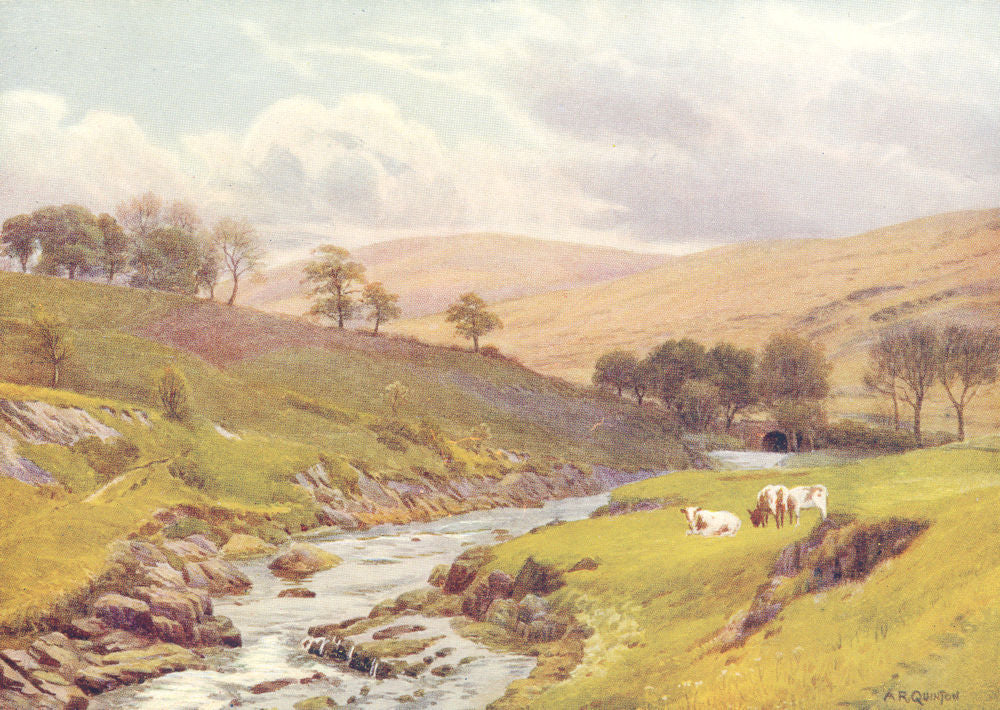 WALES. Bout-ryth-Galed, upper Wye 1911 old antique vintage print ...