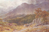CUMBRIA. The Derwent, Borrowdale, Cumberland 1908 old antique print picture