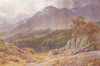 CUMBRIA. The Derwent, Borrowdale, Cumberland 1908 old antique print picture