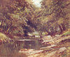 DEVON. The Tavy, Tavistock, Devon 1908 old antique vintage print picture