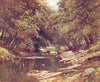 DEVON. The Tavy, Tavistock, Devon 1908 old antique vintage print picture