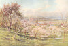 DEVON. The Axe, Axmouth, Devon 1908 old antique vintage print picture