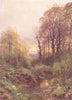 SURREY. A Stream, near Leith hill, Surrey 1908 old antique print picture