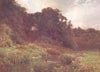 SURREY. The Wey, Surrey 1908 old antique vintage print picture