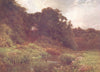 SURREY. The Wey, Surrey 1908 old antique vintage print picture
