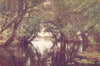 HUNTINGDONSHIRE. The Ouse, near St Ives, Huntingdonshire 1908 old print