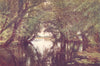 HUNTINGDONSHIRE. The Ouse, near St Ives, Huntingdonshire 1908 old print
