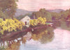 CUMBRIA. Lake district. Old Laburnums at Newby bridge, Windermere 1908 print