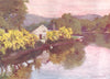 CUMBRIA. Lake district. Old Laburnums at Newby bridge, Windermere 1908 print