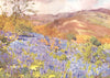 CUMBRIA. Lake district. Wild Hyacinths 1908 old antique vintage print picture
