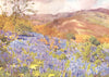 CUMBRIA. Lake district. Wild Hyacinths 1908 old antique vintage print picture