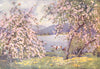 CUMBRIA. Lake district. Esthwaite water. Apple blossom 1908 old antique print