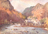 CUMBRIA. Lake district. Stepping-stones, Seathwaite 1908 old antique print