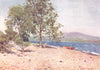 CUMBRIA. Lake district. Bassenthwaite Lake a breezy morn 1908 old print