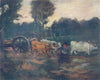 ARGENTINA. A Bullock team hauling timber in the Chaco Argentina 1908 old print