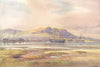 IRELAND. Cave Hill, Belfast 1908 old antique vintage print picture
