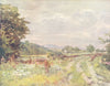 WALES. Country Lane 1905 old antique vintage print picture