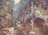 WALES. Fairy Glen, Betws-y-Coed 1905 old antique vintage print picture
