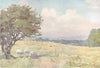 WALES. Sunny Field, near Llanberis 1905 old antique vintage print picture