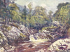 WALES. In the Lledr Valley 1905 old antique vintage print picture