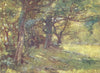 WALES. In the Woods, Berwyn 1905 old antique vintage print picture