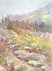 EUROPE. An Alpine Garden at Bourg St Pierre 1917 old antique print picture