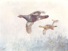 BIRDS. Grouse. Capercaillie; male in front 1924 old antique print picture