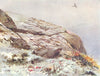 BIRDS. Grouse. Ptarmigan (Summer Plumage) hiding from Hawk 1924 old print