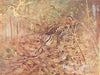 BIRDS. Woodcock and Snipe. Woodcock on its nest 1924 old antique print picture