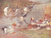 BIRDS. Wildfowl. Wigeon (lower) Pintails courting (upper four)  1924 old print