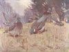 BIRDS. Pigeons. Ring-dove courting 1924 old antique vintage print picture