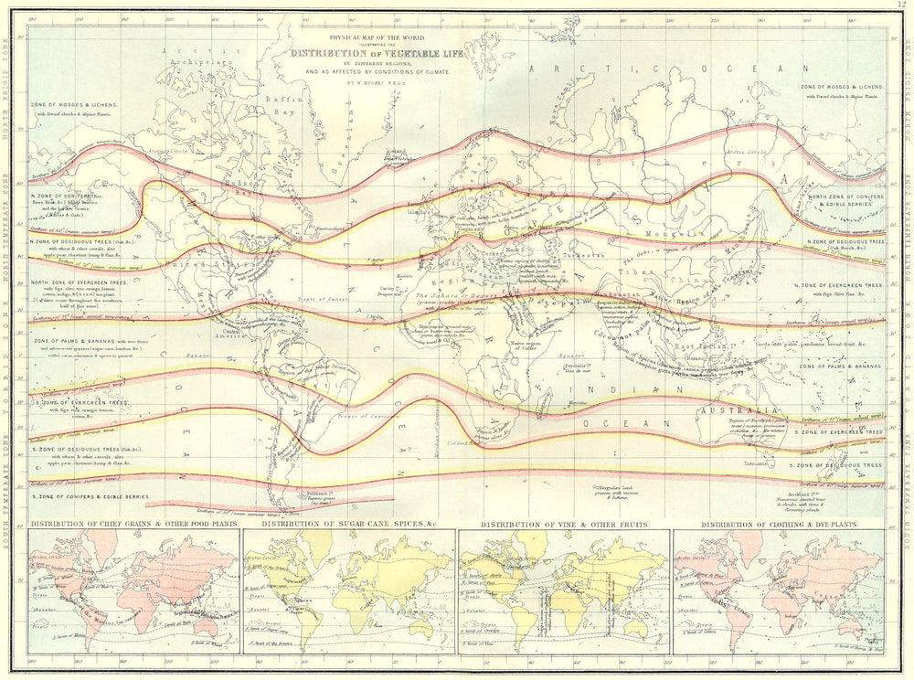 WORLD VEGETATION.Grain food plant;sugarcane,spice;vine fruit;cloth Dye 1881 map