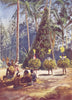 MELANESIA. The Duk Duk Society; Bismarck Archipelago secret society 1900 print