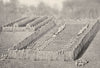 MELANESIA. Melanesia. Totem Shrine; Torres Straits Islands 1900 old print