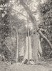 MELANESIA. Melanesia. A Rain shrine;  1900 old antique vintage print picture