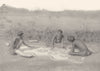 AUSTRALIA. Australia. Preparing a ground drawing; Warramunga tribe 1900 print