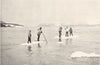 ARCTIC. Arctic America. Punting on ice floes; Eskimos killing seals 1900 print