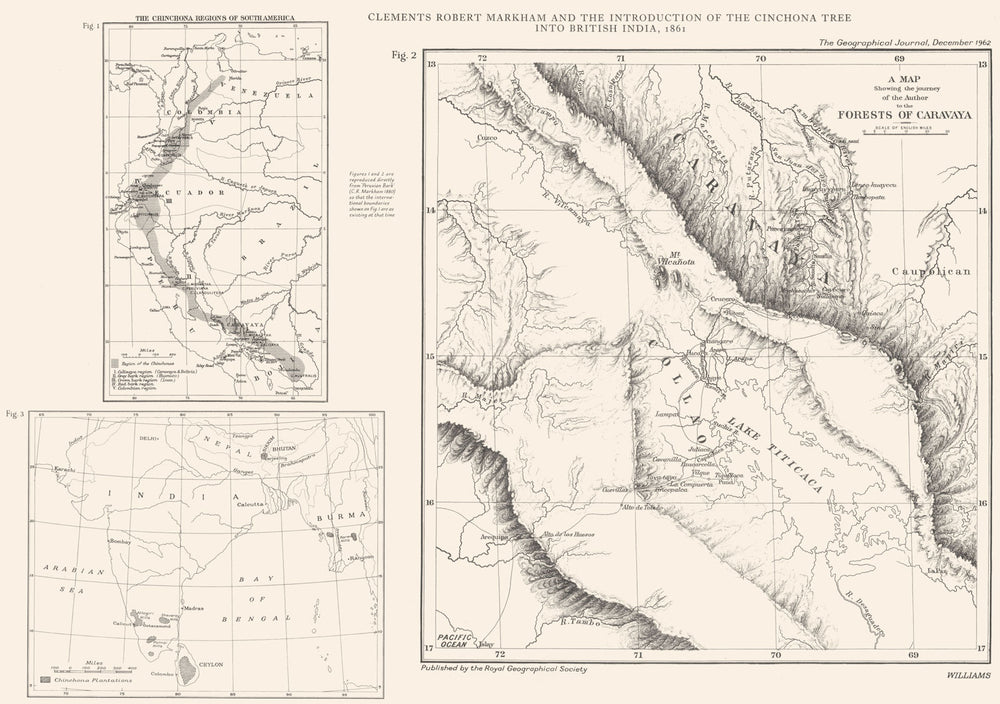 CINCHONA. Quina Markham India 1861 South America Caravaya Plantations  1962 map