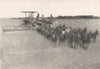 FARMING. reaping and binding Machine. Combine harvester pulled by horses 1907