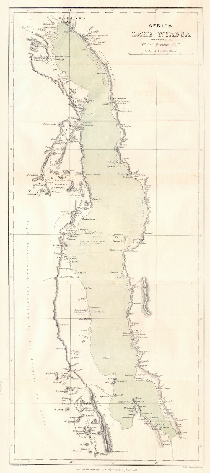 AFRICA. Lake Nyassa Malawi Nyasa. Tanzania Mozambique. RGS map 1883 old