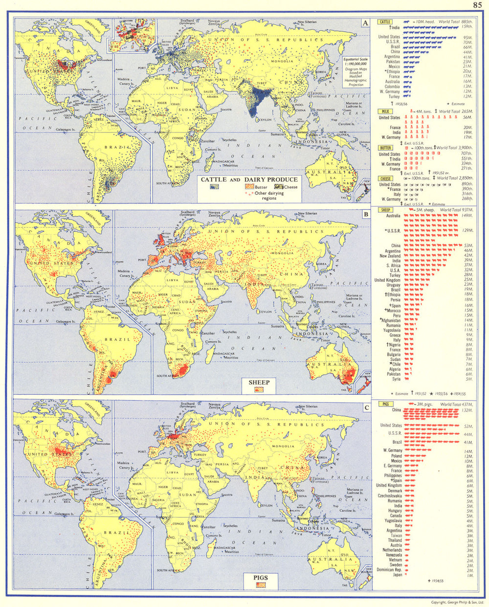 WORLD. Cattle and Dairy Produce; Sheep; Pigs 1962 old vintage map plan chart
