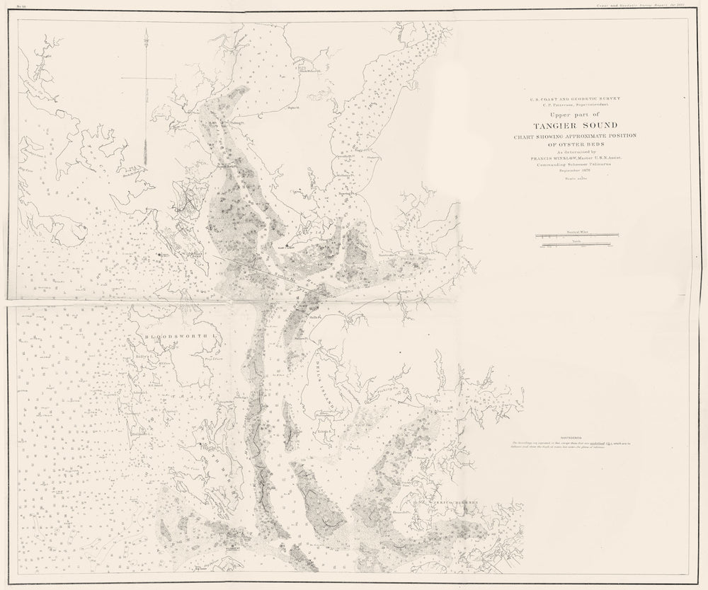 VIRGINIA MARYLAND. USCGS Upper part of Tangier sound chart Oyster beds 1881 map