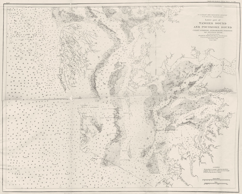VIRGINIA MARYLAND. USCGS Tangier & Pocomoke sound chart oyster beds 1881 map