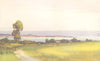 DEVON. The Exe. Exmouth from Cockwood 1908 old antique vintage print picture